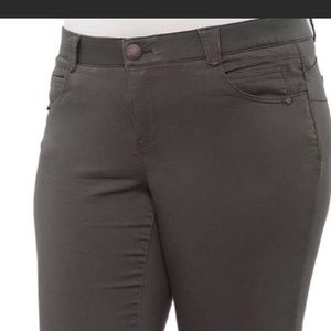 NWT Democracy Mid Rise Straight Leg Jean 20W